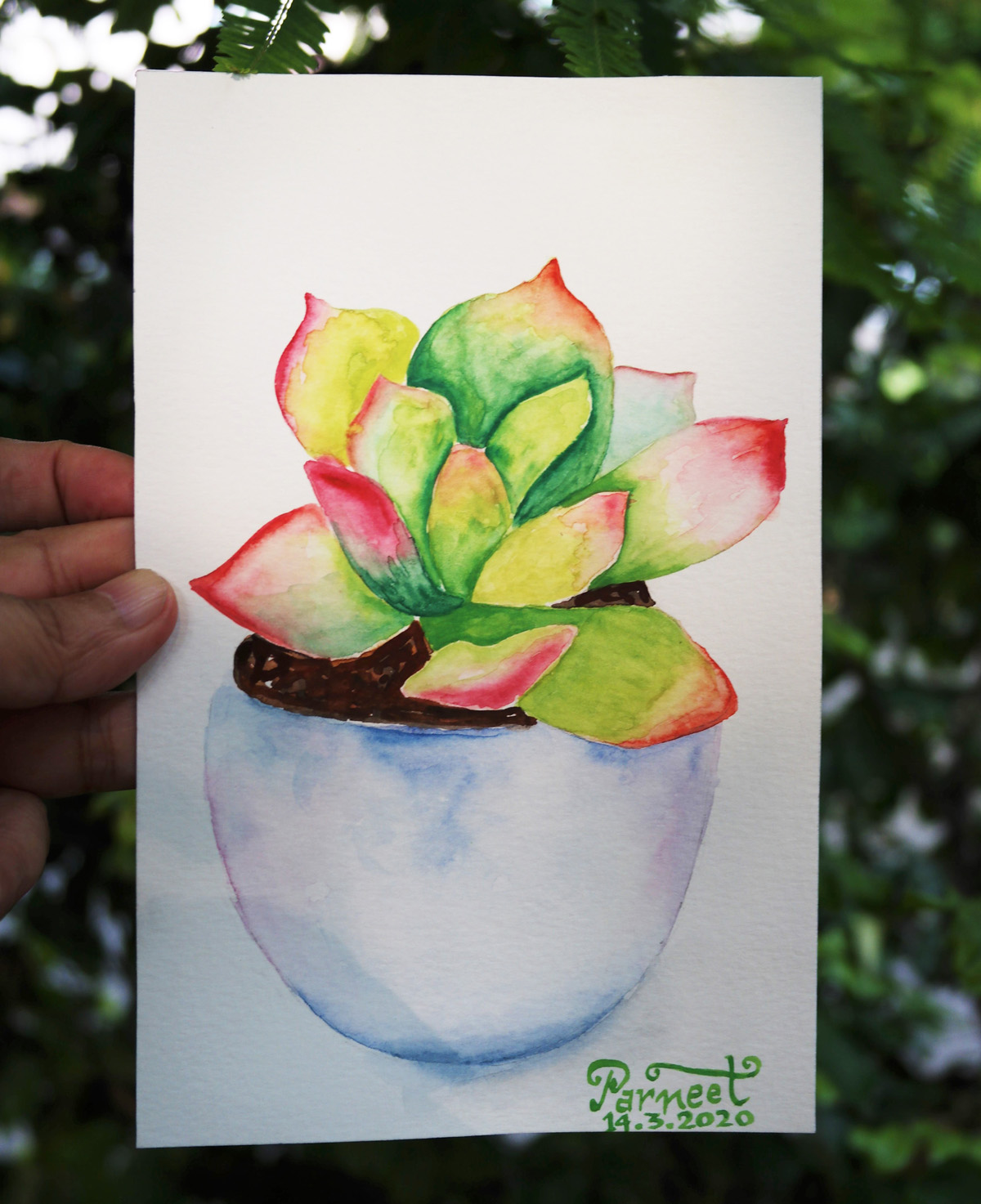 Succulent: Watercolor Painting SIZE: 18 5cm x 12cm Painter Muse